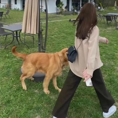 约瑟夫·钱伯斯的正直